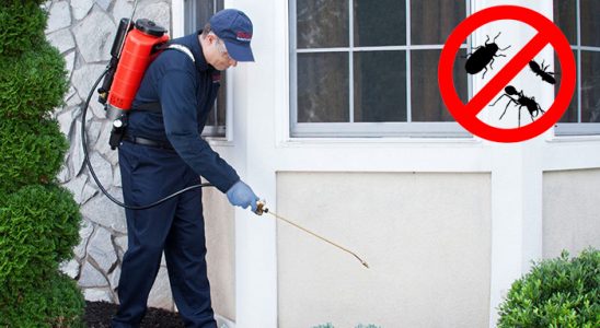 Bozyazı Böcek ve Haşere İlaçlama böcek ilaçlama ve haşere kontrolü — ilaclama-tr.com
